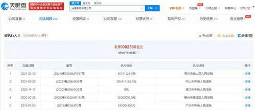 光耀集團(tuán)破產(chǎn)風(fēng)波 計(jì)算機(jī)軟件開發(fā)業(yè)務(wù)的重挫與反思